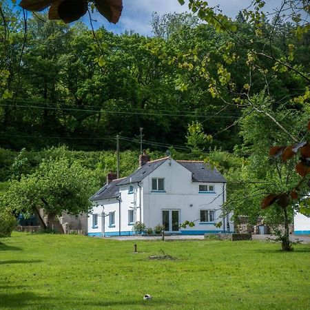 Tucking Mill - 3 Bedroom Holiday Home - Stepaside Stepaside  Exterior foto
